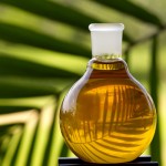 palm-oil-150x150 Apa itu pasaran hadapan minyak sawit