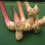 lengkuas-150x150 Hilangkan selsema bayi