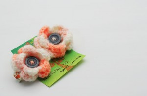 IMG_0208-300x196 IMG_0208