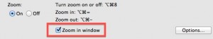 zoom-in-window-300x56 zoom-in-window